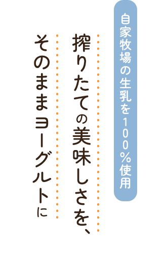 自家牧場の生乳を100％使用 搾りたての美味しさを、そのままヨーグルトに