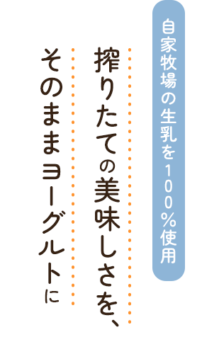 自家牧場の生乳を100％使用 搾りたての美味しさを、そのままヨーグルトに